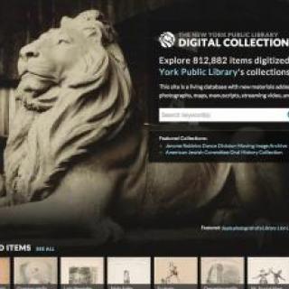 Screenshot of the Digital Collections website featuring a marble lion statue.